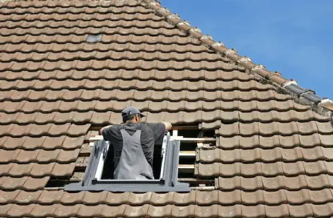 Pose de velux - Binas